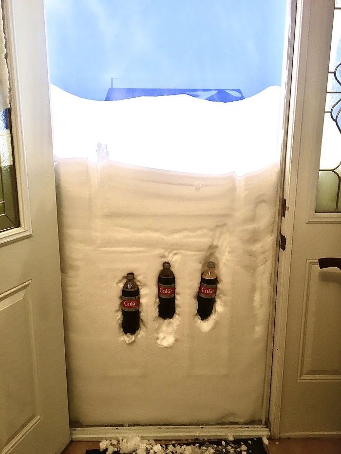 newfoundland blizzard natural refrigerator