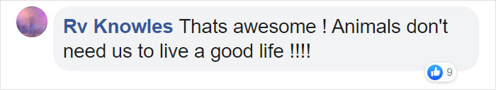 opossum viral photo comment rv