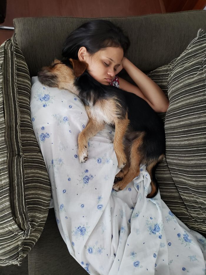 rescue pet puppy sleeping with owner