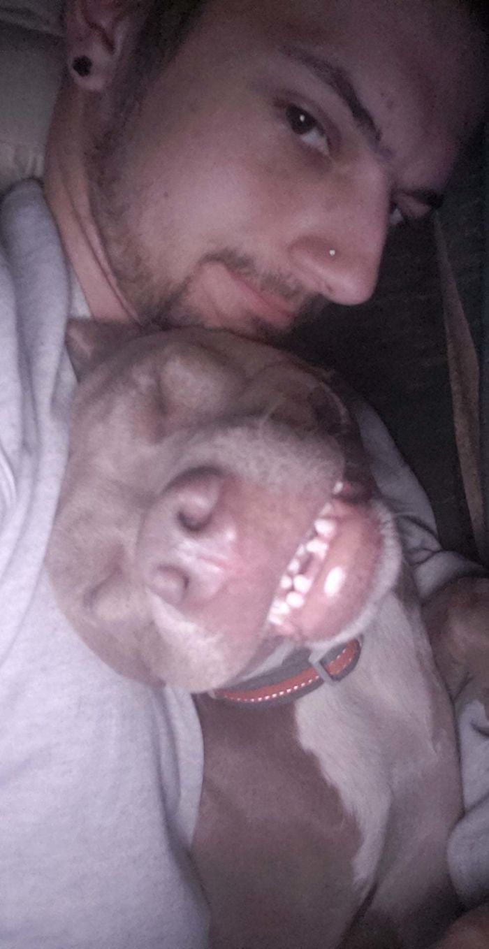 shelter animal adopted cuddle dog