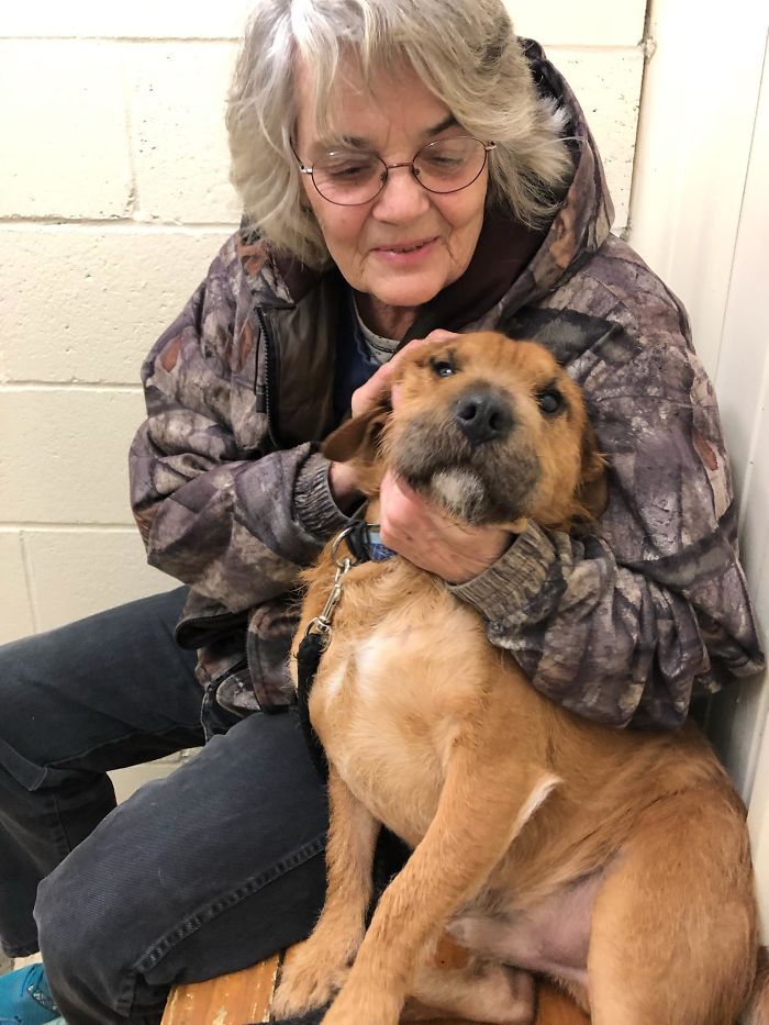 shelter animal adopted grandma bestfriend