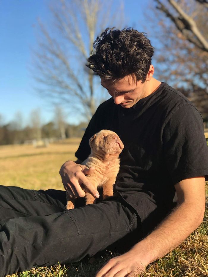 shelter animal adopted little croissant