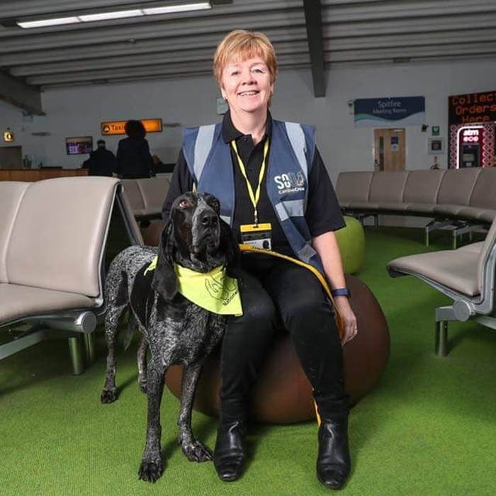 therapy dogs working at southampton airport