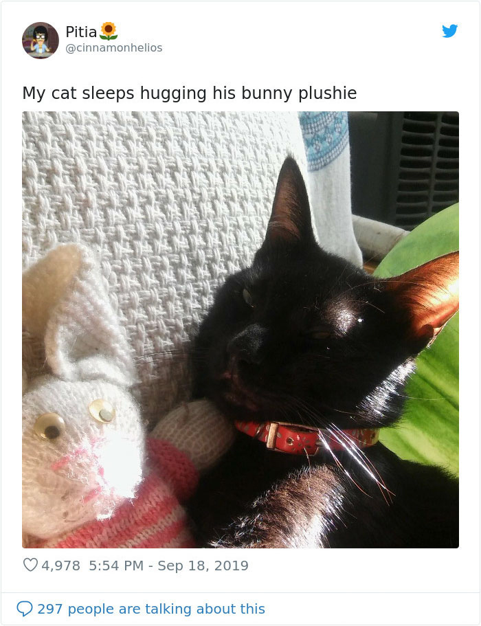 weirdo cats bunny stuffed toy