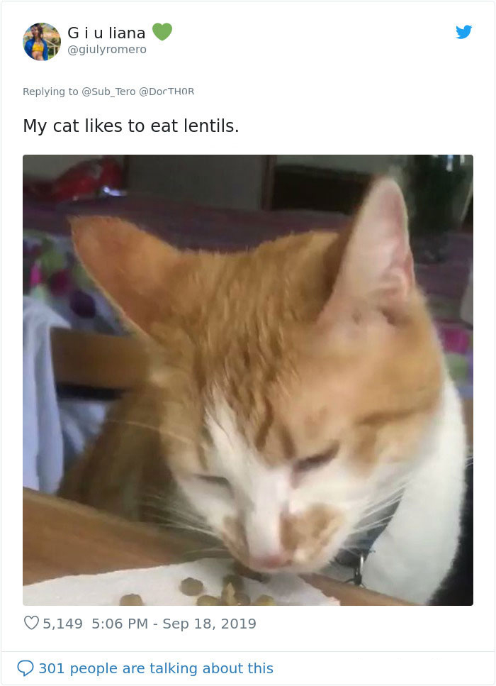 weirdo cats eating lentils
