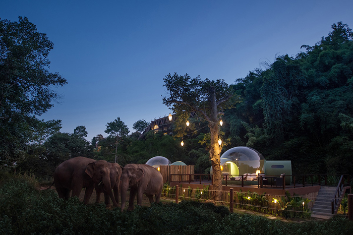 A Night in Nature at Anantara Golden Triangle Elephant Camp & Resort