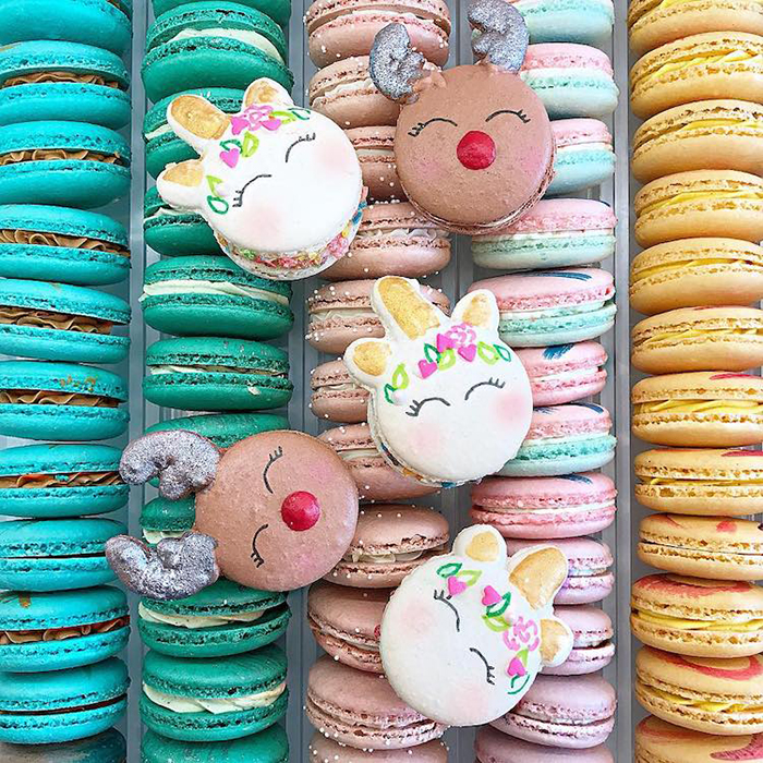 Adorable Animal Macarons