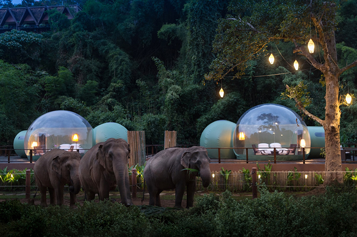 Anantara Golden Triangle Elephant Camp & Resort Jungle Bubbles