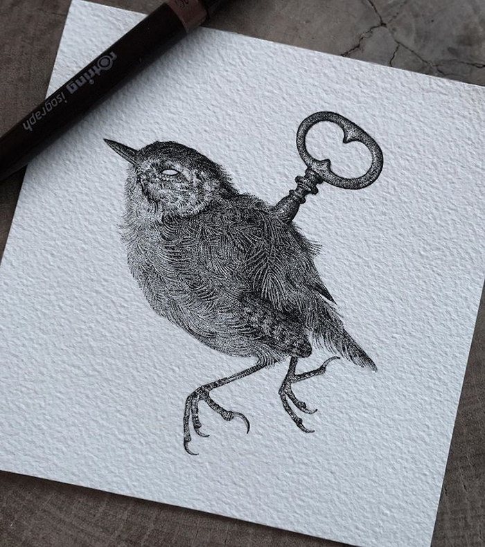 Bird Illustration by Annita Maslov