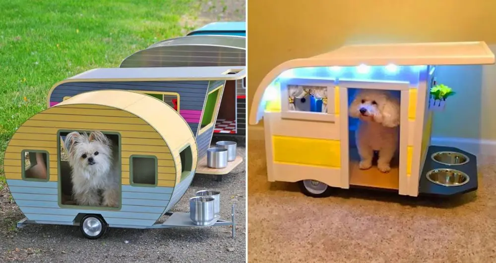 Camper trailer dog beds