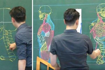 Chuan Bin Chung anatomy