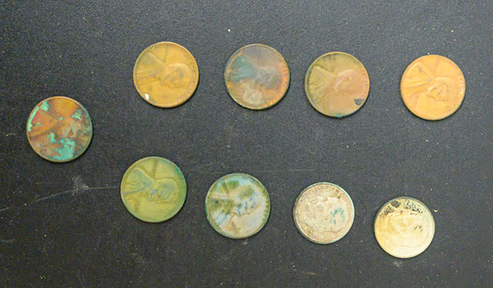 Coins Found inside Patti Rumfola's Purse