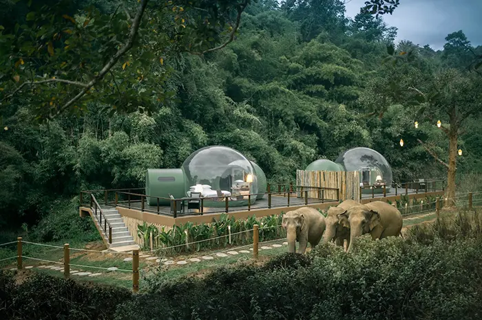 Jungle Bubbles at Anantara Golden Triangle Elephant Camp Resort