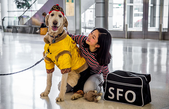 Lady Hugging a Dog Member of the Wag Brigade