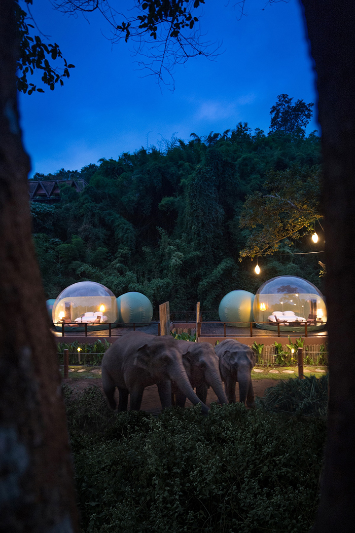 Special Outdoor Accommodation at Anantara Golden Triangle Elephant Camp Resort