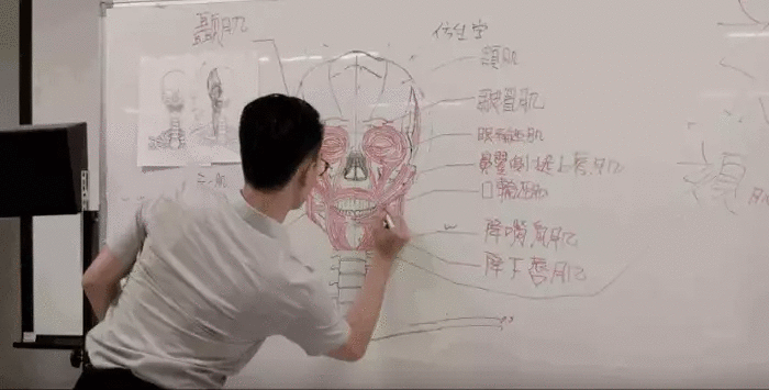 Taiwanese Instructor Human Skull Drawing