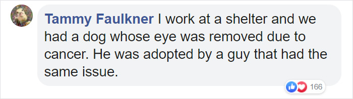 Tammy Faulkner Facebook Comment