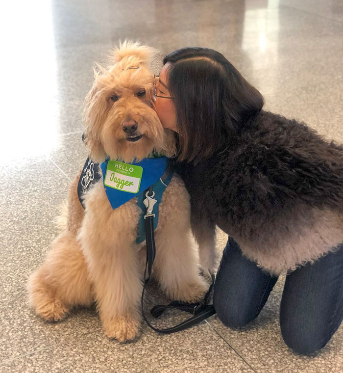 Wag Brigade Dog Member Named Jagger Being Kissed by a Lady