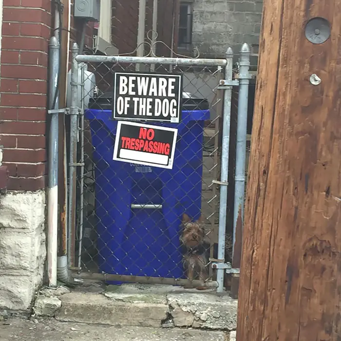 beware of dog sign subtle presence