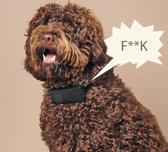 You Can Now Get Your Dog A 'Cursing Dog Collar' That Cusses Every Time