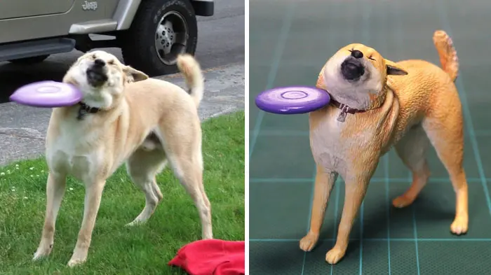 funny animal moment turned 3d frisbee fail