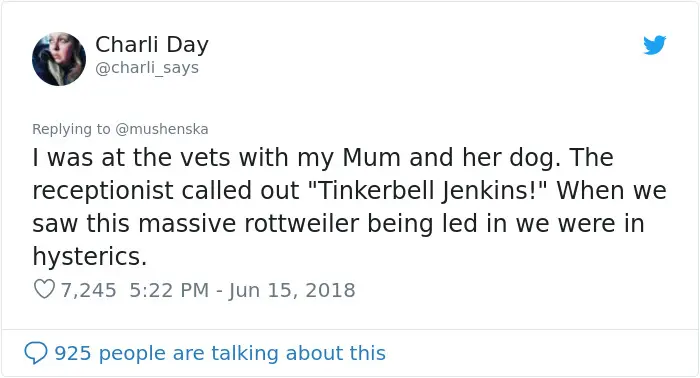 funny pet names tinkerbell jenkins