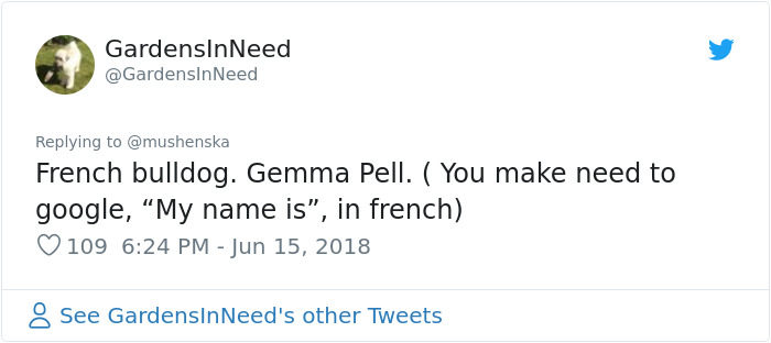 hilarious name bulldog gemma pell