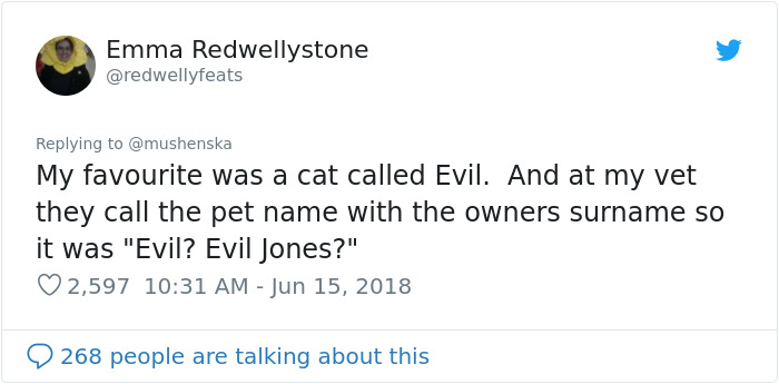 hilarious name cat evil