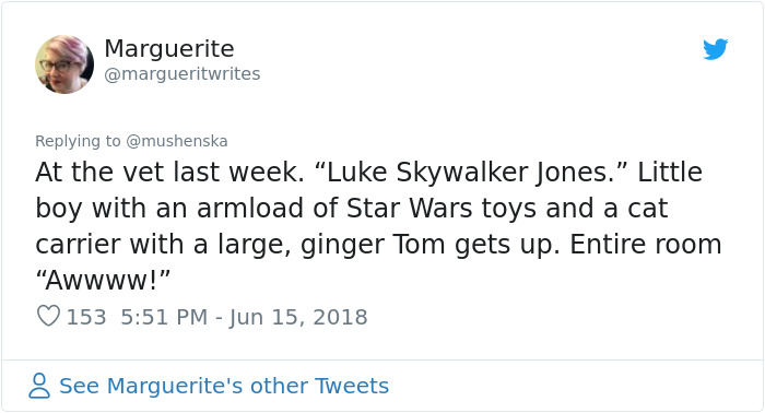 hilarious name cat luke skywalker