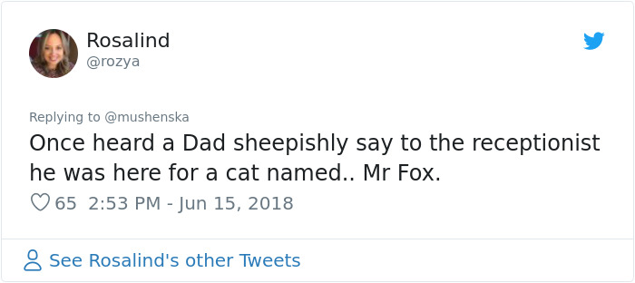 hilarious name cat mr fox