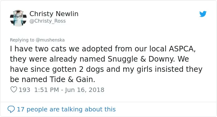 hilarious name cats snuggle and downy