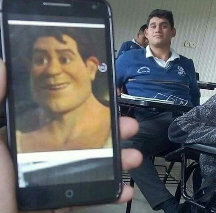 lookalikes unexpected places real life shrek