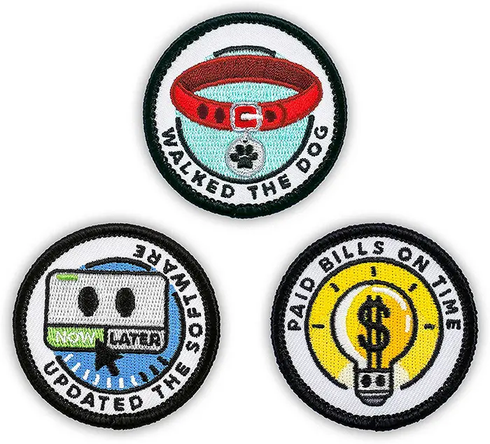 merit badges for adults responsibilities