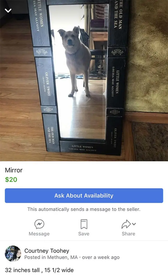 people trying to sell mirrors dog reflection
