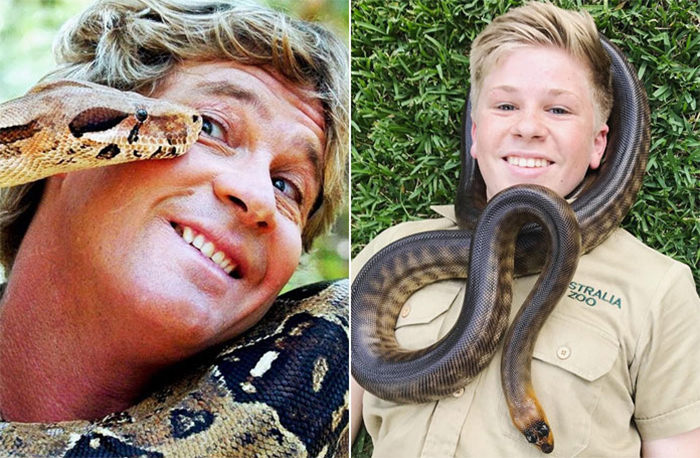 robert irwin recreates father photos snake