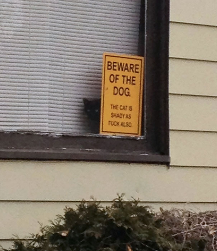 shady cat warning sign