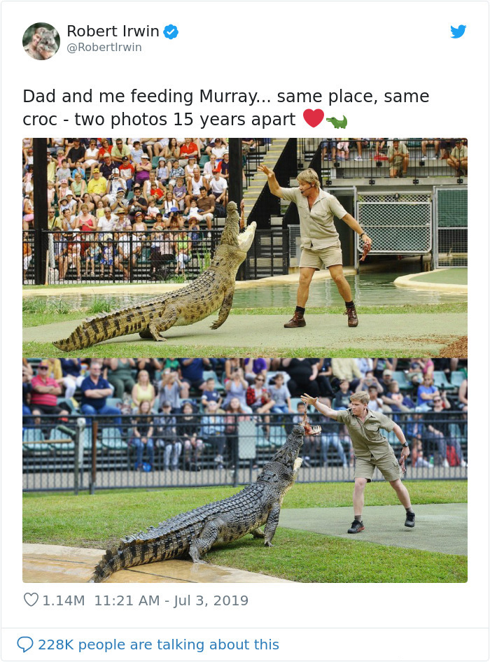 steve and robert irwin feeding crocodile