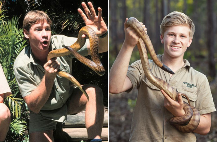 steve and robert irwin snake