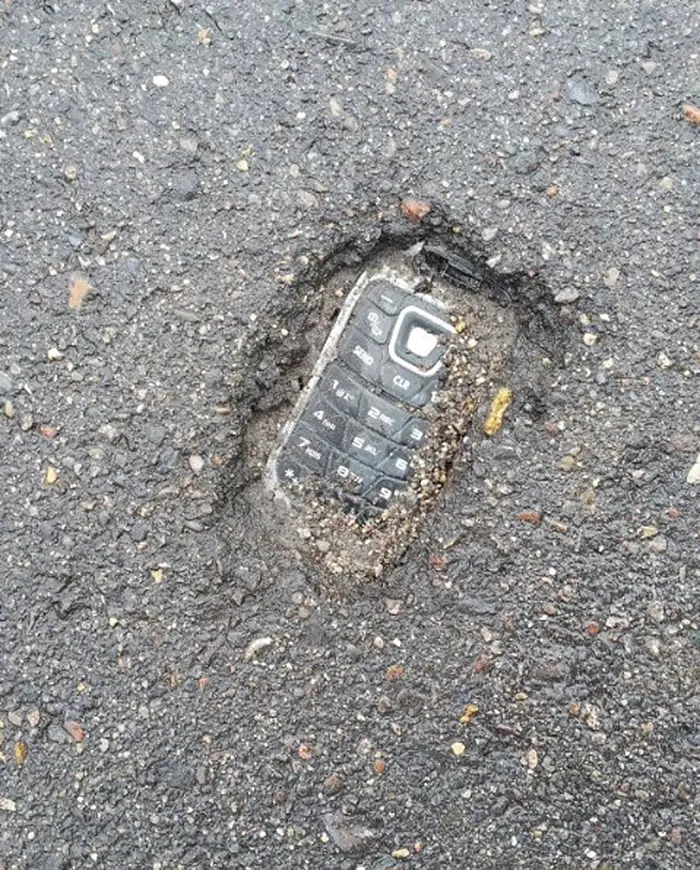 unusual discoveries cellphone fossil