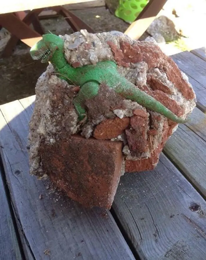 unusual discoveries toy dinosaur fossil