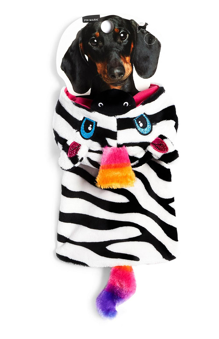 zebra dog costume