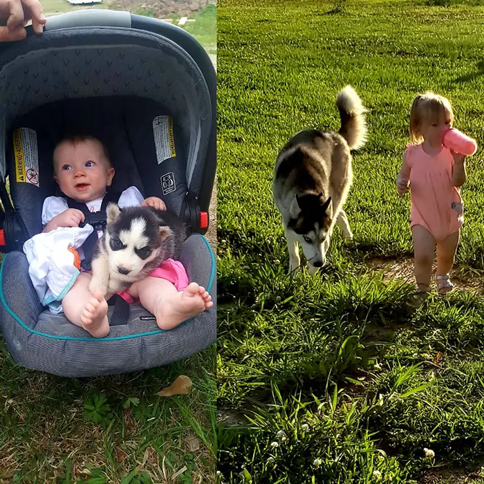 Baby Girl and Puppy Together Through the Years