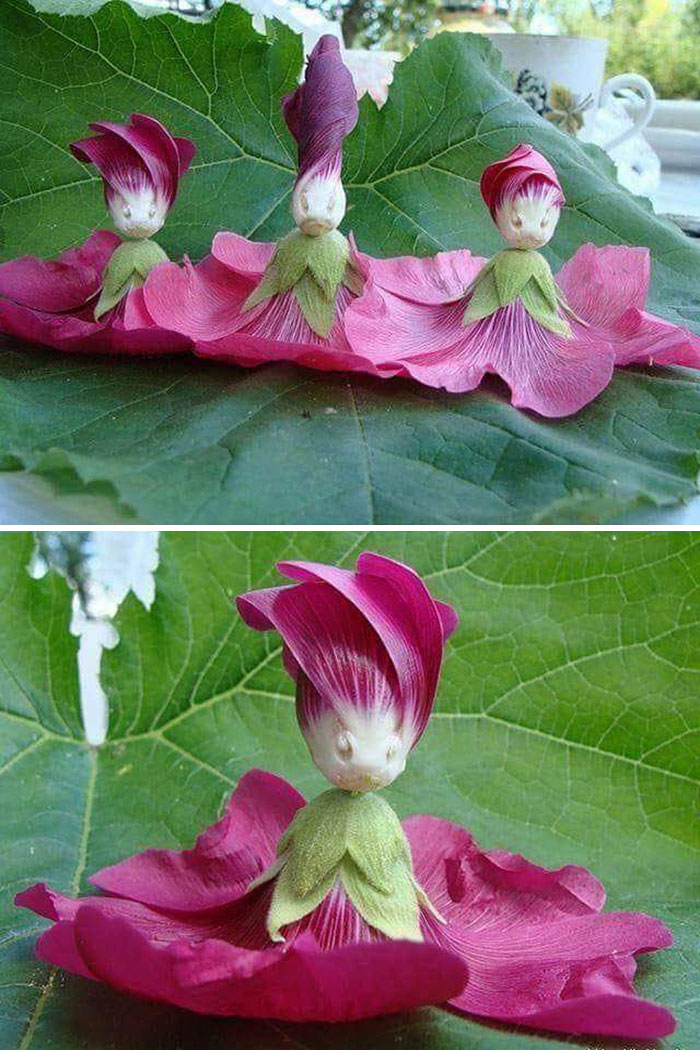 Flower Fairies pareidolia