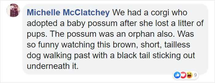 Michelle McClatchey Facebook Comment