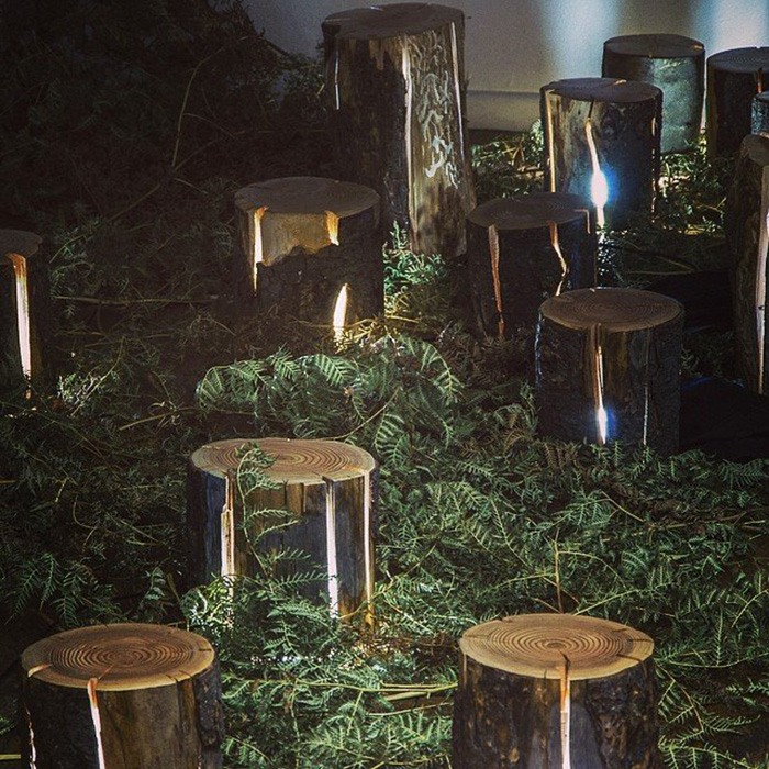 Multiple Cracked Log Lamps in a Forest Setting