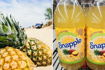 Snapple Pineapple Flavor