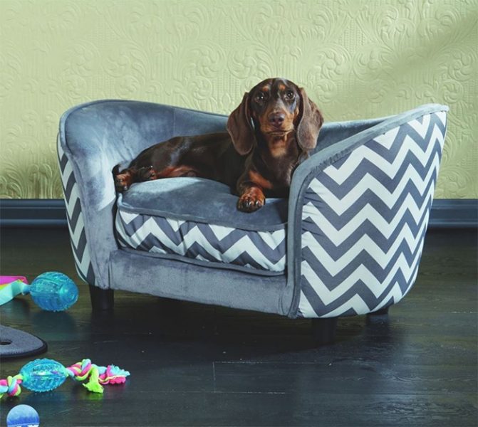 You Can Now Get Your Dog A Tiny Sofa From Aldi