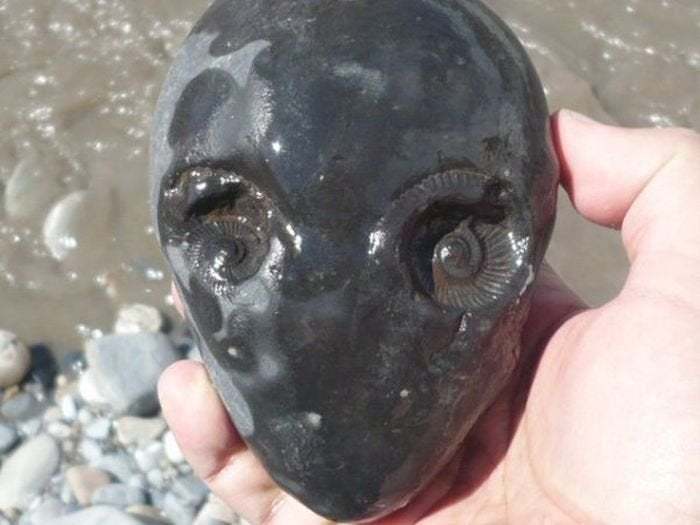 alien stone from river