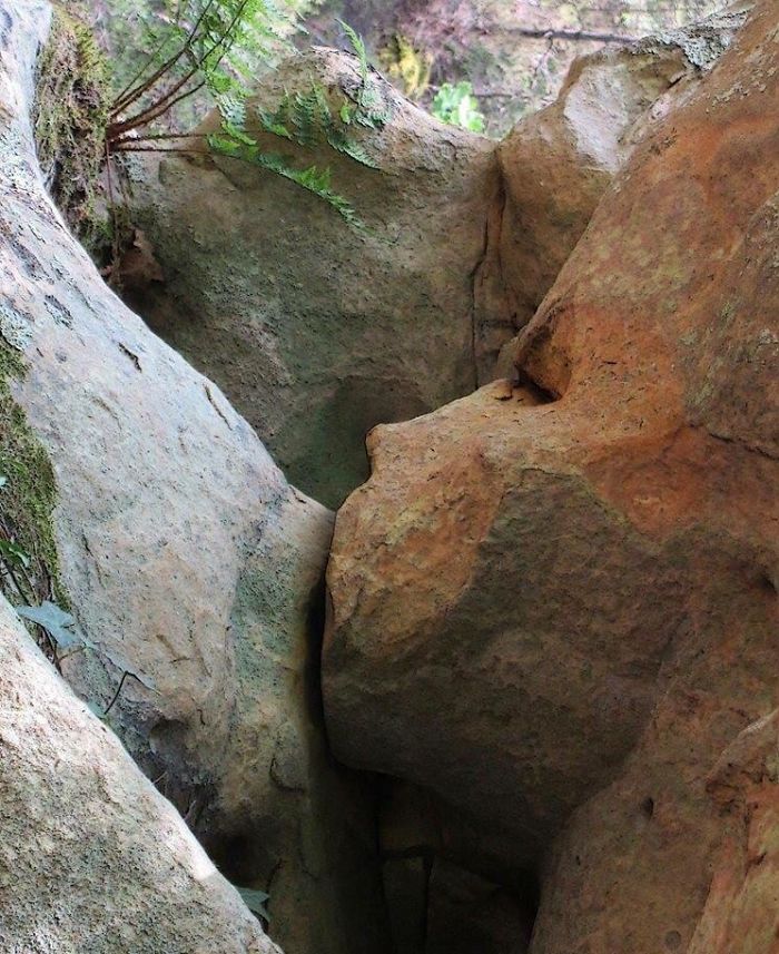 breastfeeding rocks pareidolia