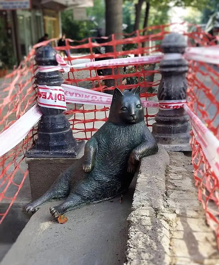 bronze statue famous turkish cat istanbul